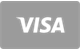 Visa debit and credit card payment icon